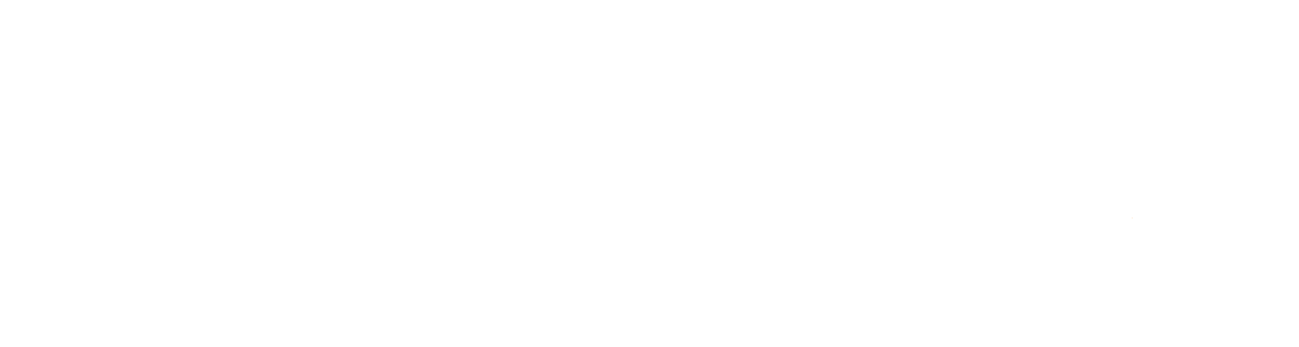 VIOS-Beratung Logo
